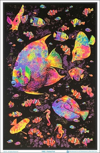 Painted fish blacklight poster - painted,