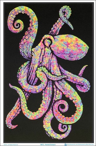 Painted octopus blacklight - octopus,